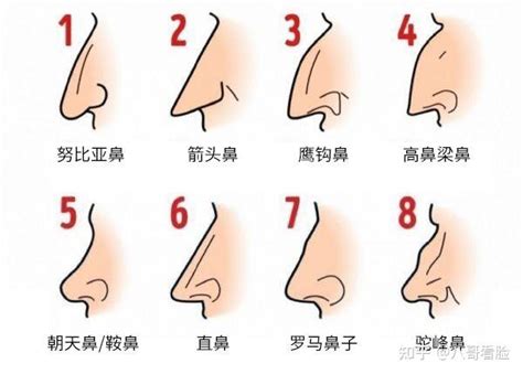 三角形鼻孔面相|十五种鼻型，你属于哪一种？